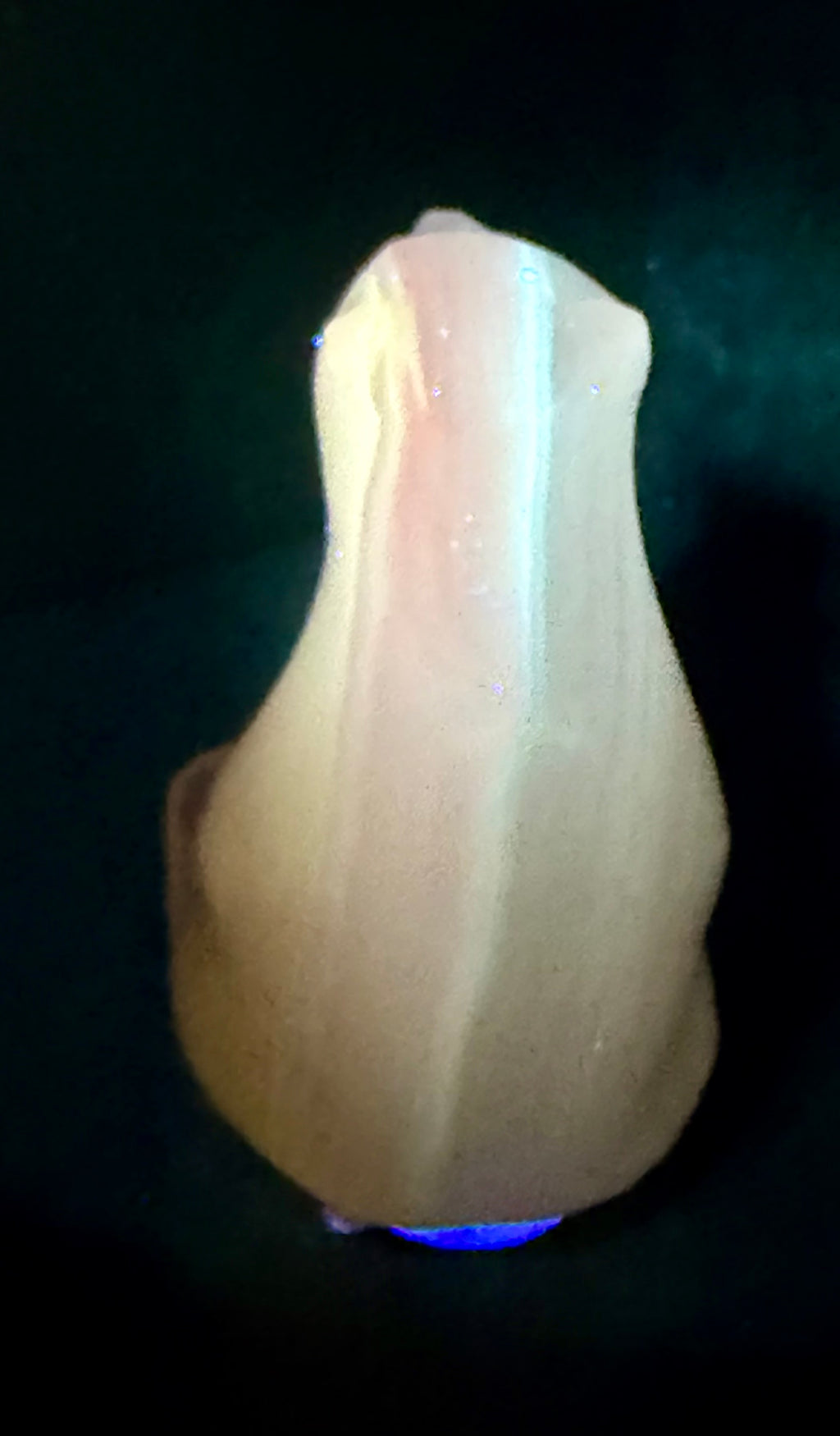 Hand Carved Amber Onyx Polar Bear from Mexico - UV Reactive Stone Figurine