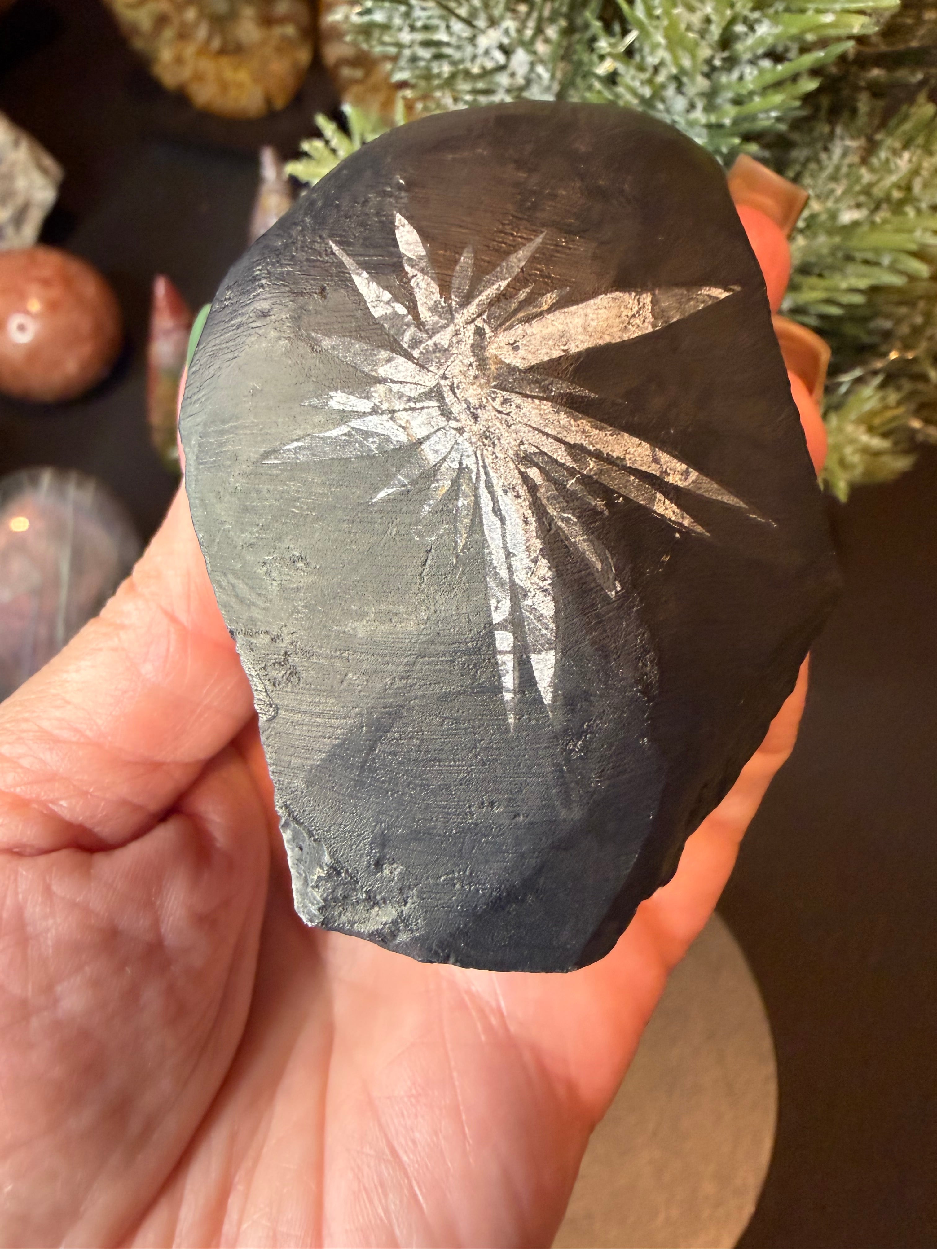 Natural Chrysanthemum Stone Specimen