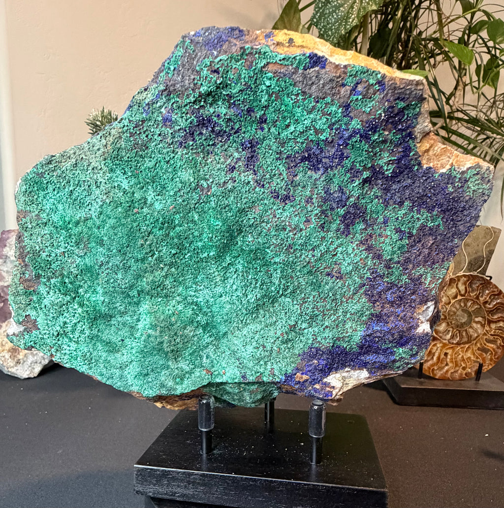 Large Azurite & Malachite Specimen on Stand
