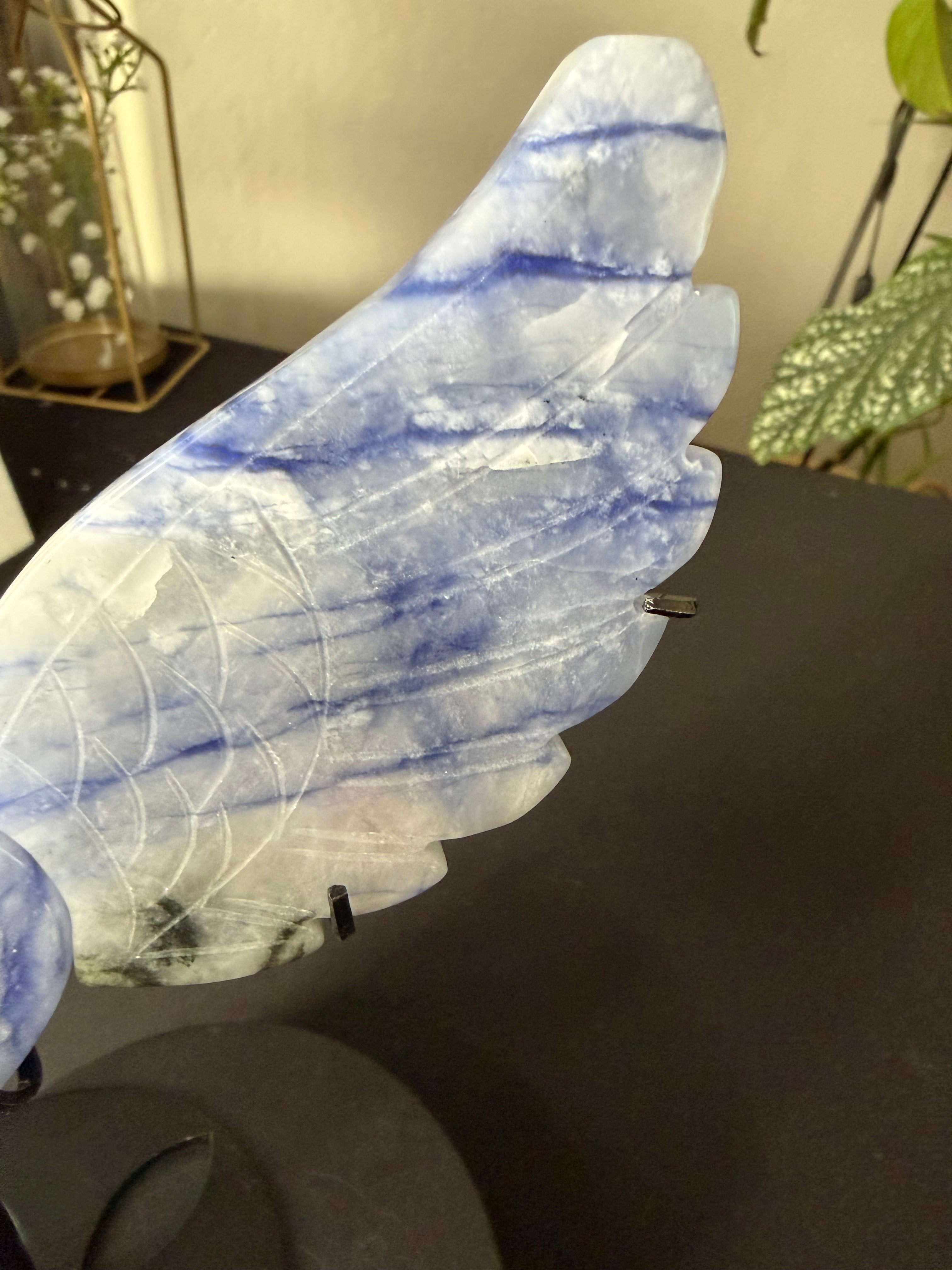 Natural Blue Sodalite Hackmanite Angel Wings with Heart Center