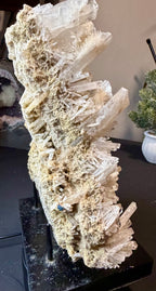 Australian Selenite Crystal Statement Piece