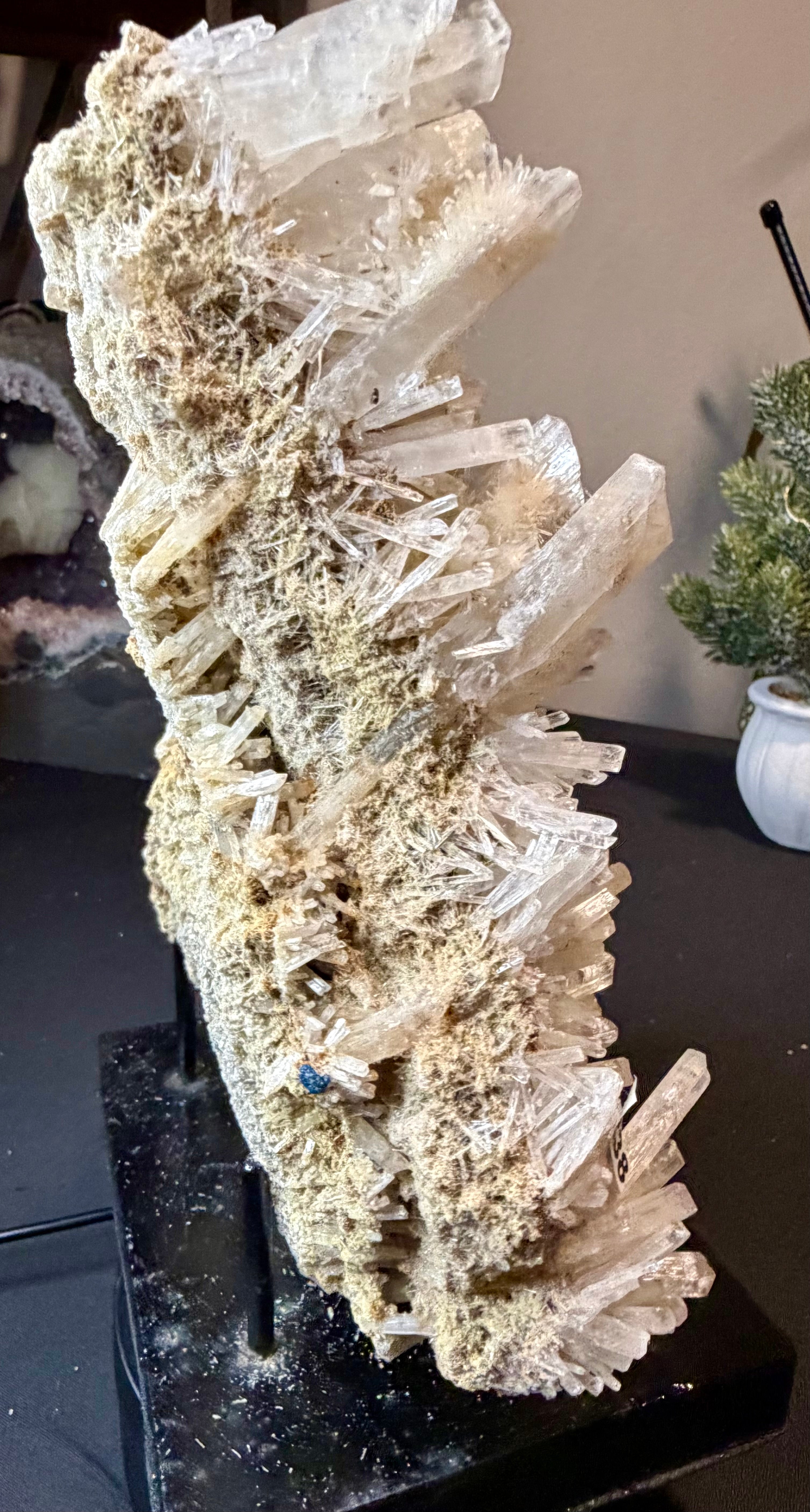 Australian Selenite Crystal Statement Piece
