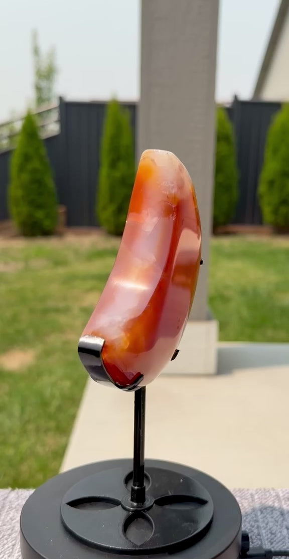 Carnelian Agate Crescent Moon on Stand - Natural Orange Stone 7" Display