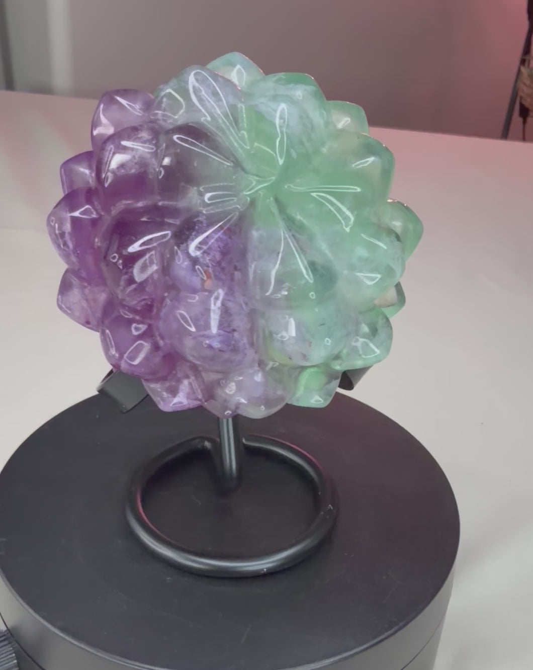Rainbow Fluorite Flower Succulent Carving on Stand