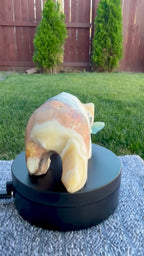 Zebra Calcite Bear Carving with Blue Onyx Fish - Banded Calcite Animal Statue