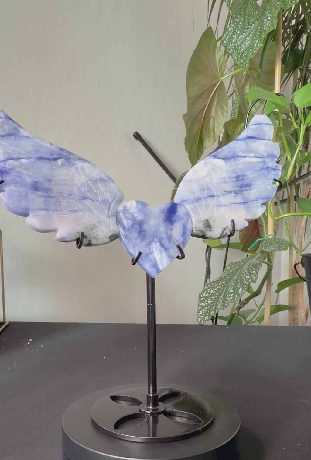 Natural Blue Sodalite Hackmanite Angel Wings with Heart Center