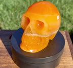 Gorgeous Honey Calcite Skull Carving - Banded Orange Calcite Crystal Skull