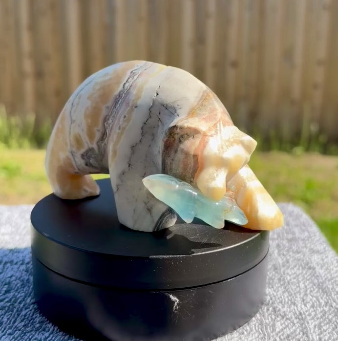 Zebra Calcite Grizzly Bear with Blue Onyx Fish - Banded Calcite Carving