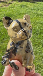 Natural Picture Jasper Frenchie Crystal Carving