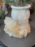 Sparkling Natural Spirit Quartz Cluster
