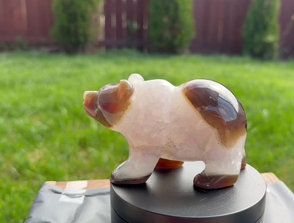 Druzy Agate Hand Carved Bear