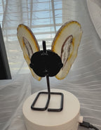 Natural Agate Butterfly Wings on Display Stand - 5.5" Mineral Sculpture - 7.3 oz