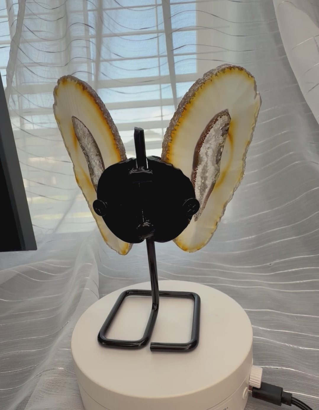 Natural Agate Butterfly Wings on Display Stand - 5.5" Mineral Sculpture - 7.3 oz