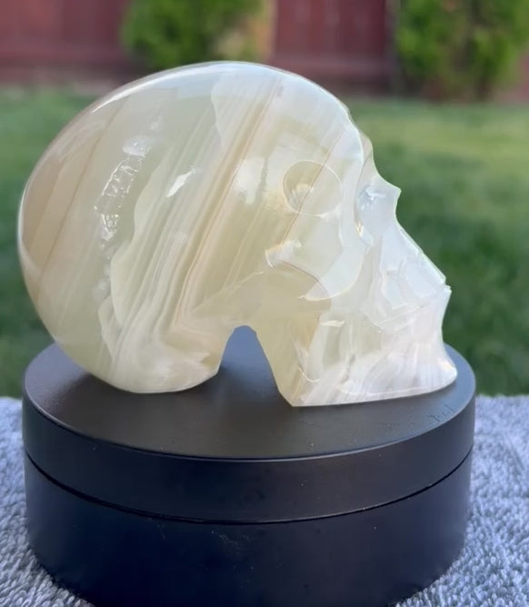 Mexican Green Onyx Skull Carving - UV Reactive Banded Calcite