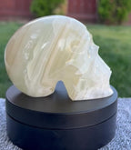 Mexican Green Onyx Skull Carving - UV Reactive Banded Calcite