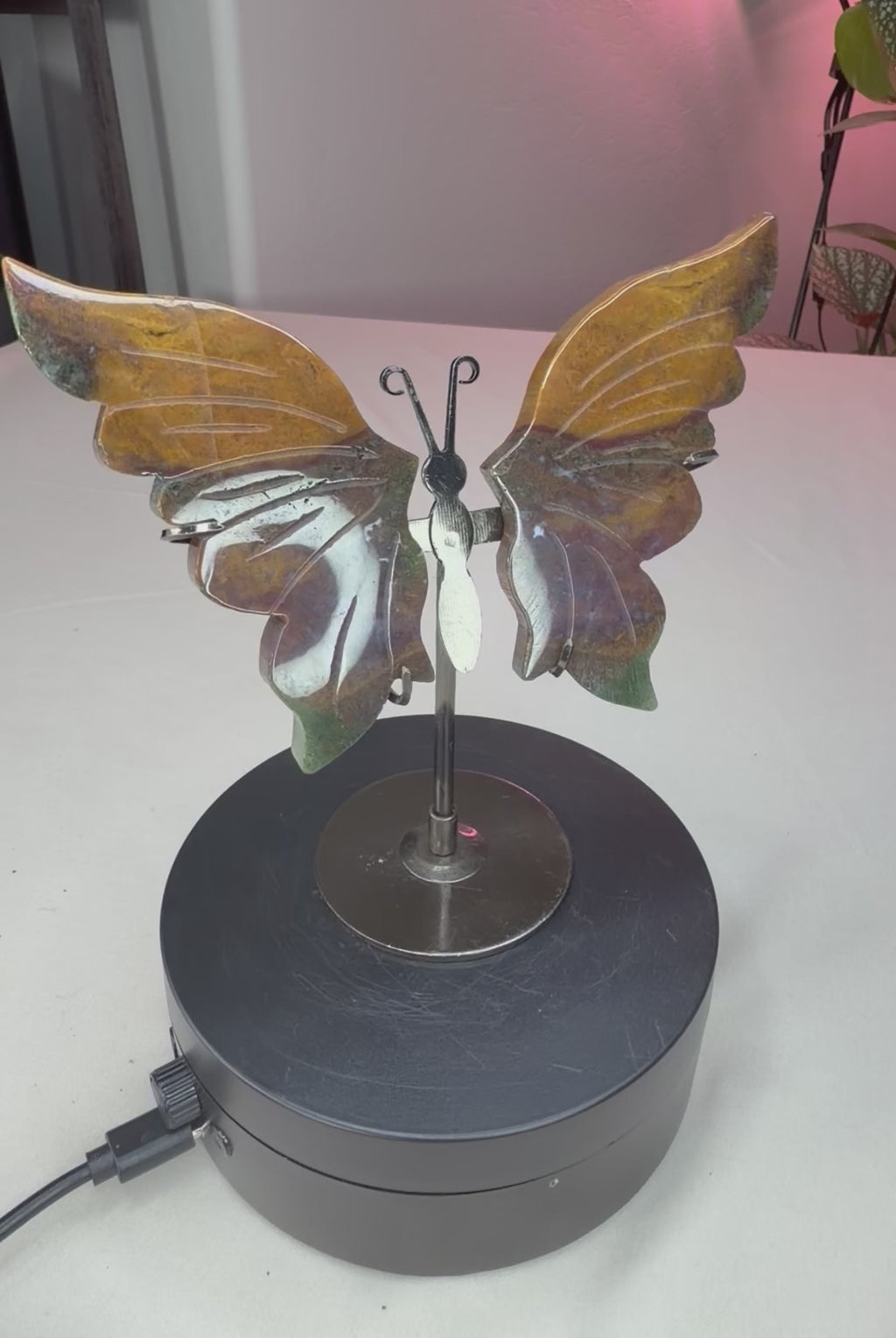 Ocean Jasper Butterfly Wings